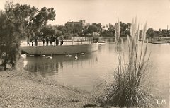 142-Le Jardin Municipal. Un coin du Lac